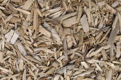 biomass boilers Menithwood